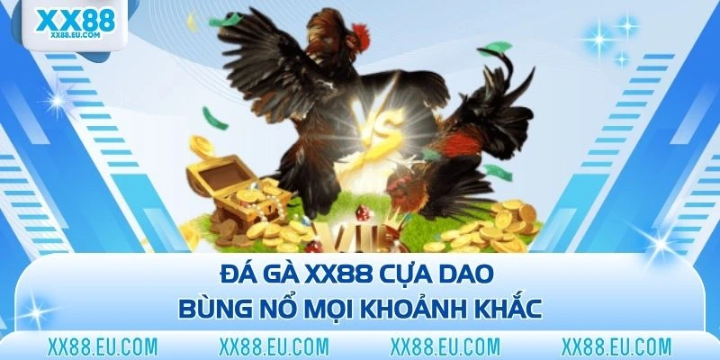 Đá gà XX88 cựa dao bùng nổ mọi khoảnh khắc